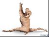Yoga Dogs for 2010